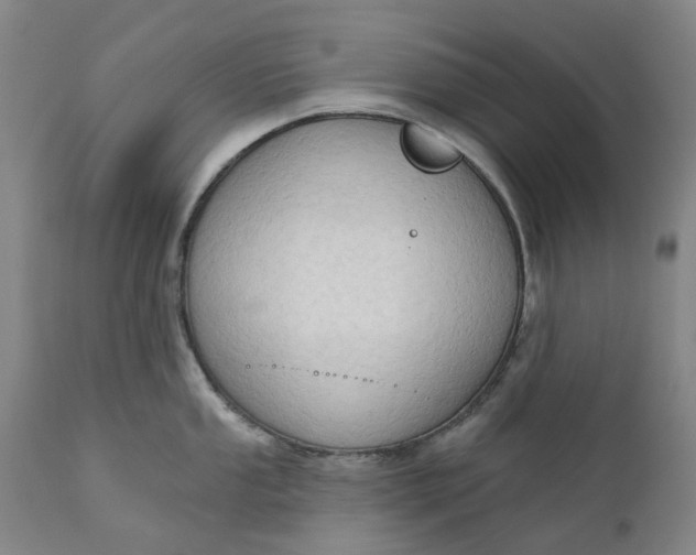 X0000111181053200907151319