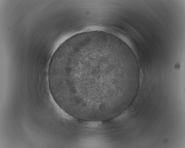 X0000111181055200907151319