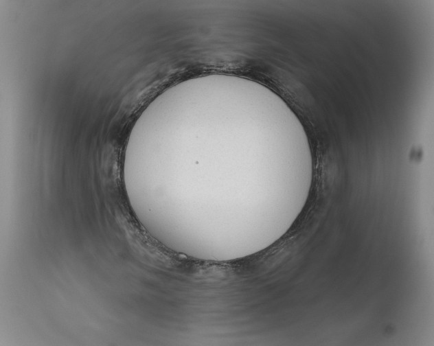 X0000111181058200907151318