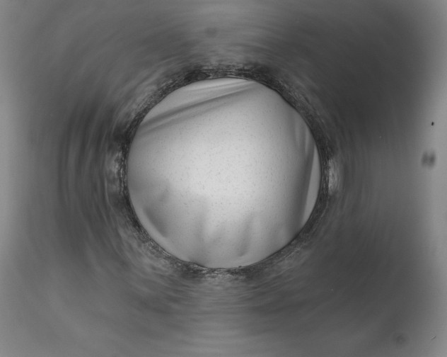 X0000111181059200907151318