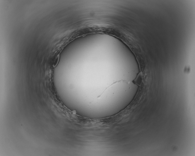 X0000111181061200907151318