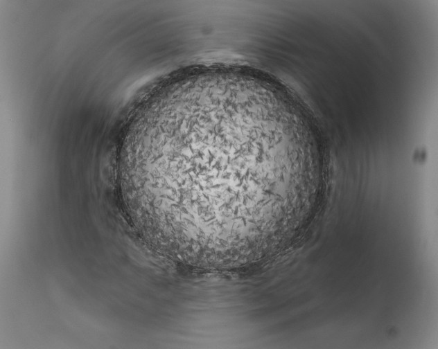 X0000111181063200907151318