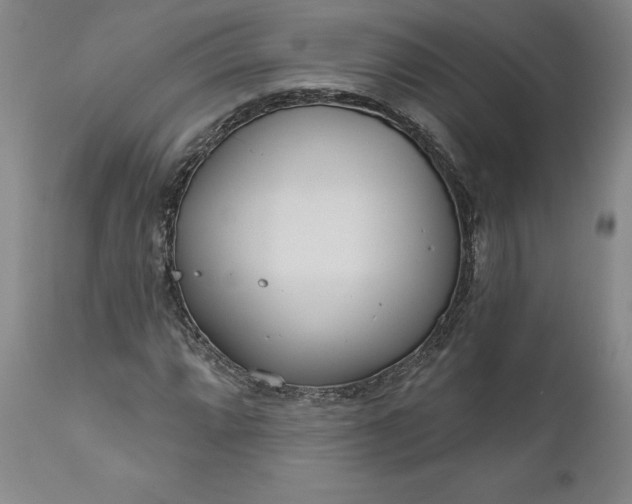 X0000111181064200907151318