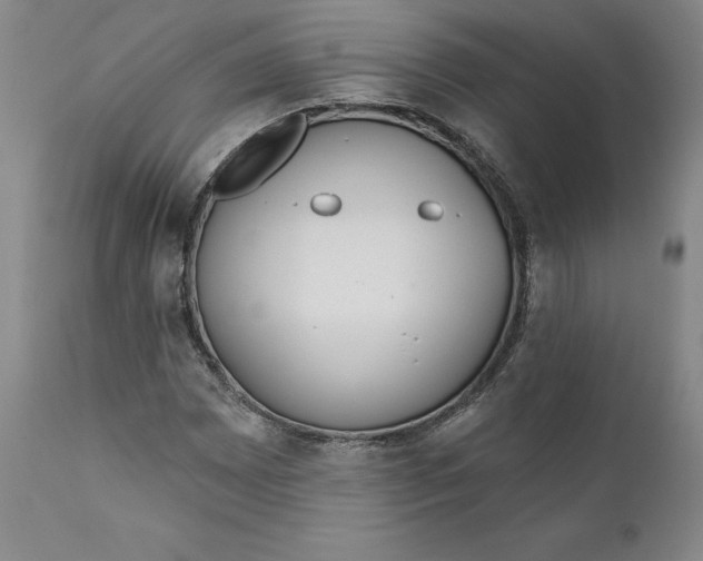 X0000111181065200907151318