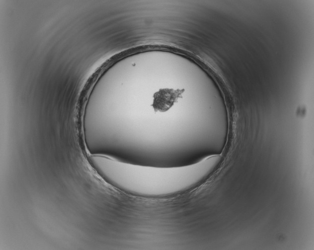 X0000111181068200907151318