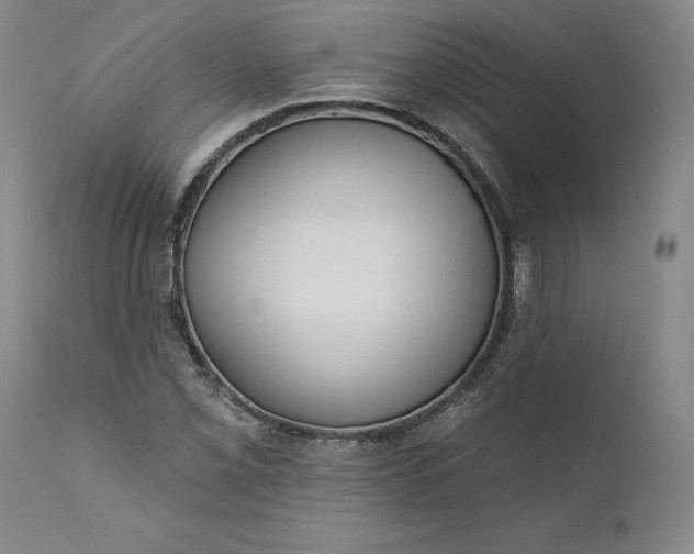 X0000111181069200907151318