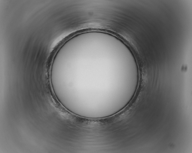 X0000111181070200907151318