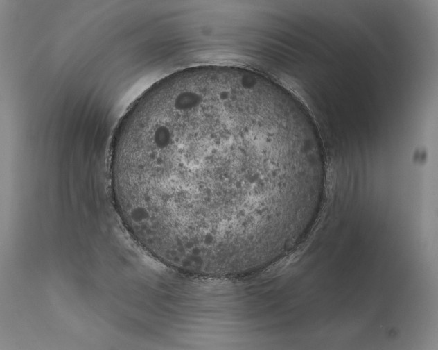 X0000111181071200907151318