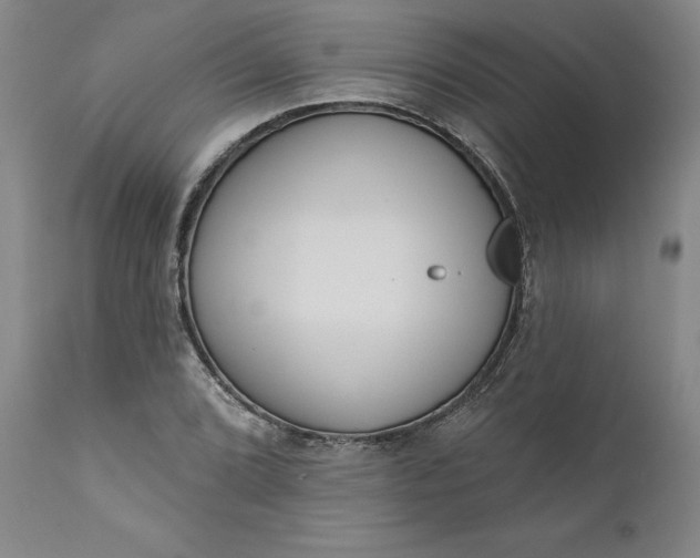 X0000111181072200907151318