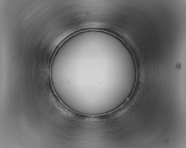 X0000111181073200907151318