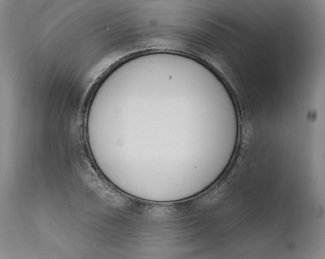 X0000111181074200907151318