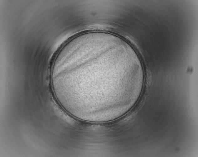 X0000111181075200907151318