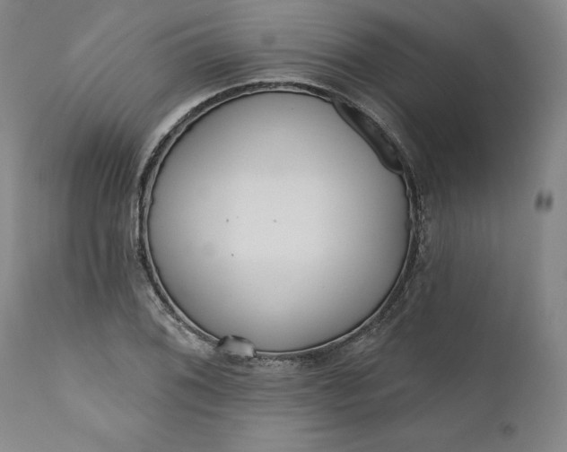 X0000111181076200907151318