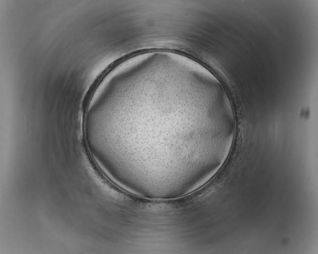 X0000111181079200907151318