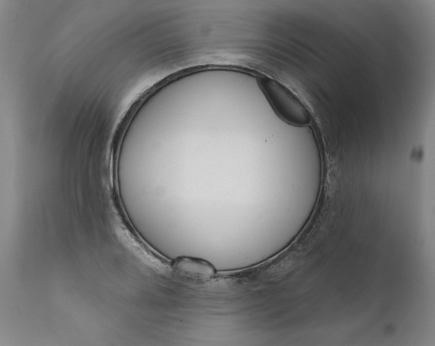 X0000111181080200907151318