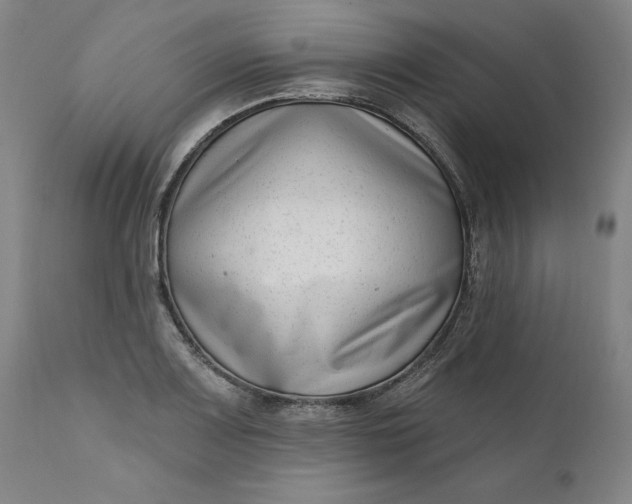 X0000111181083200907151318