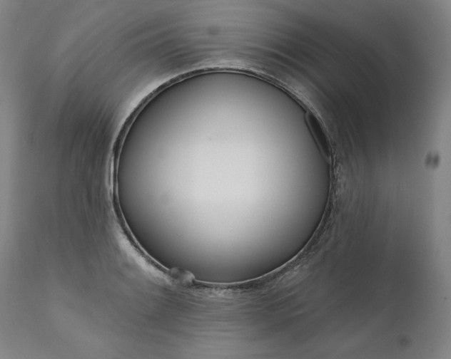 X0000111181084200907151318