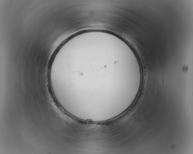 X0000111181085200907151318