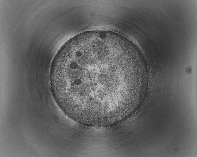 X0000111181087200907151318