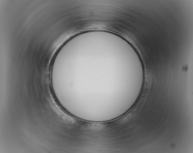 X0000111181090200907151318