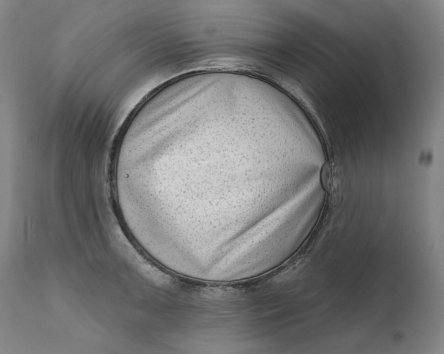 X0000111181091200907151318