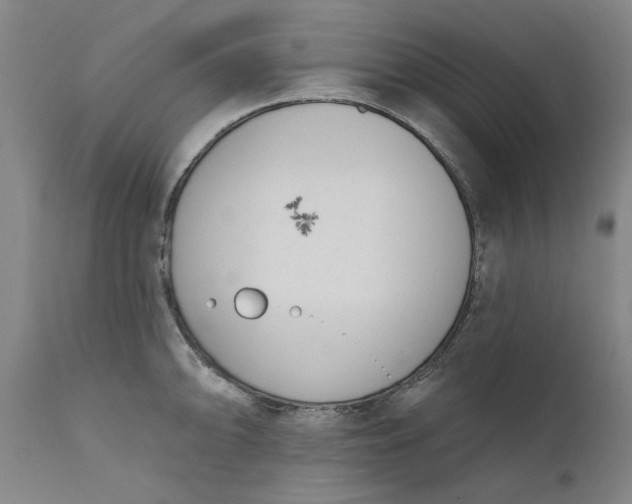 X0000111181094200907151318