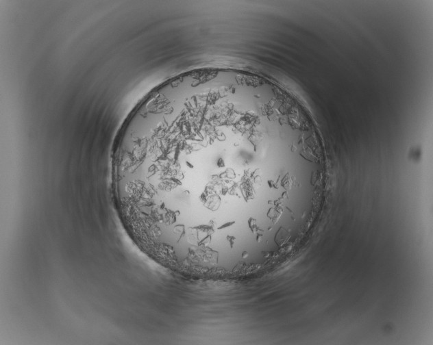 X0000111181095200907151318