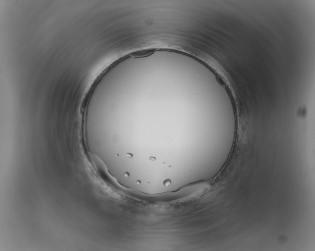 X0000111181096200907151318