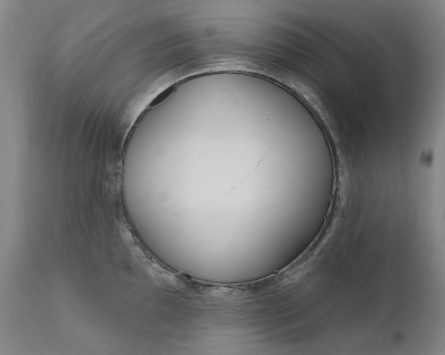 X0000111181097200907151318