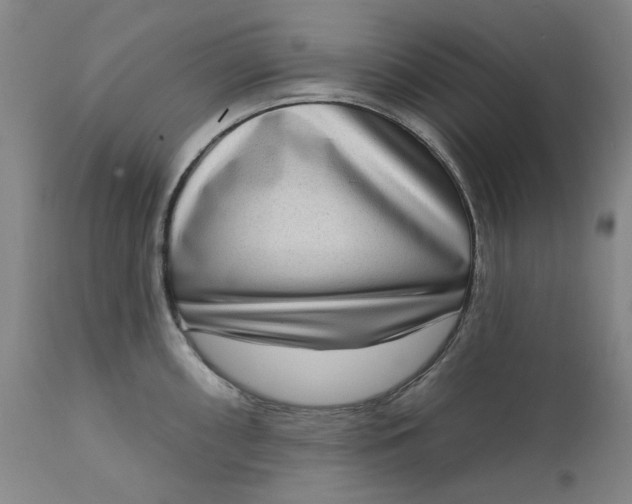 X0000111181098200907151318