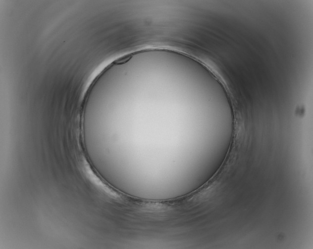 X0000111181100200907151318