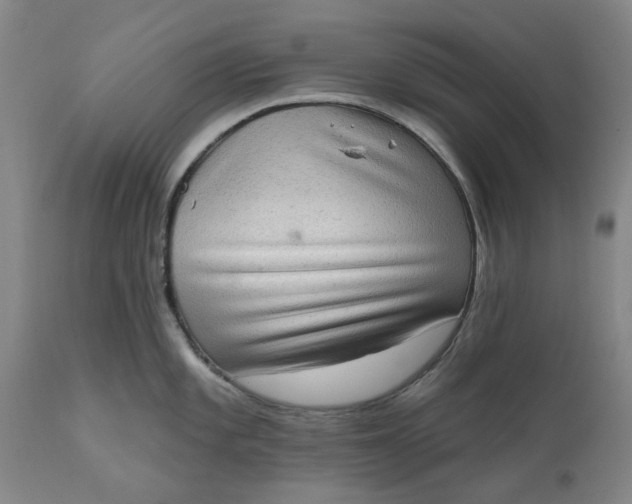 X0000111181101200907151318