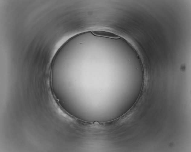 X0000111181102200907151318