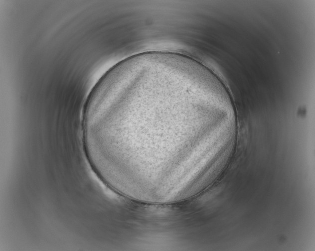 X0000111181103200907151318