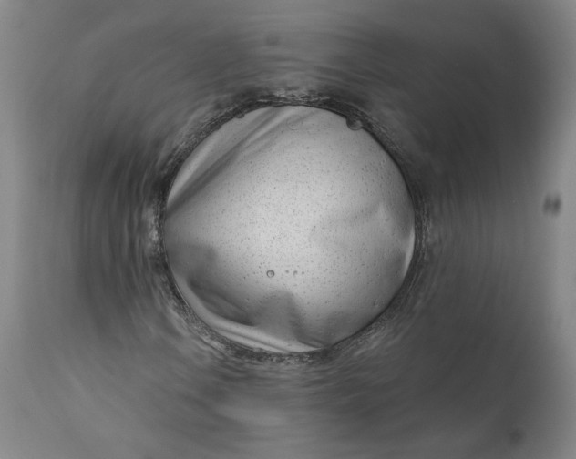 X0000111181106200907151317