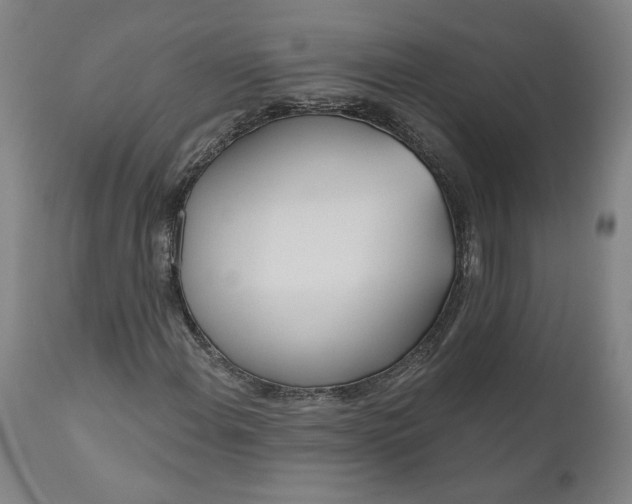 X0000111181108200907151317