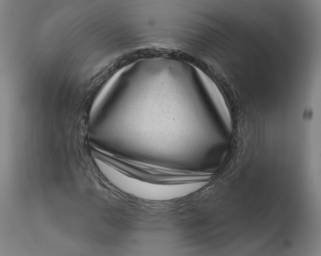 X0000111181110200907151317