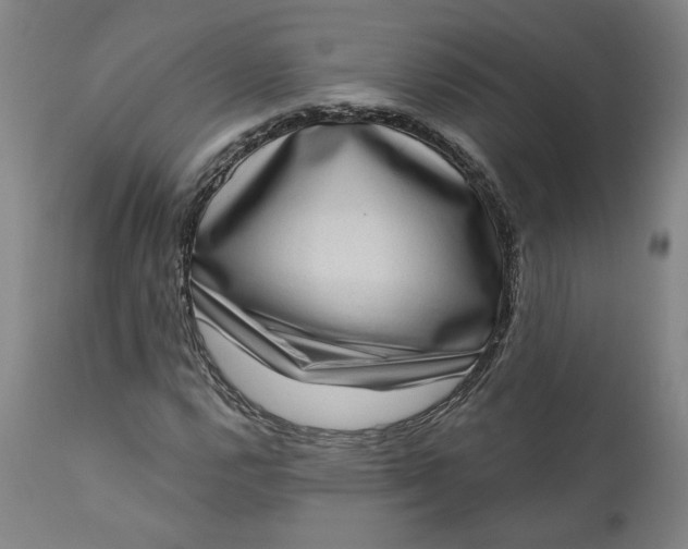 X0000111181112200907151317