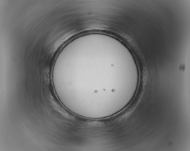 X0000111181113200907151317