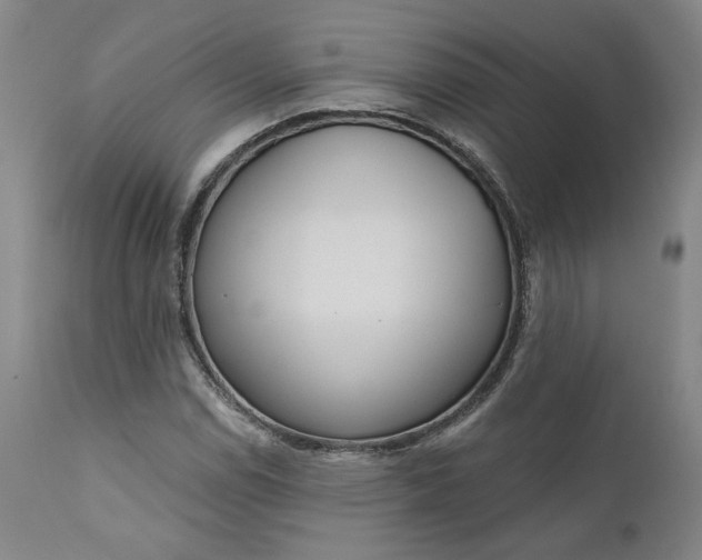 X0000111181114200907151317