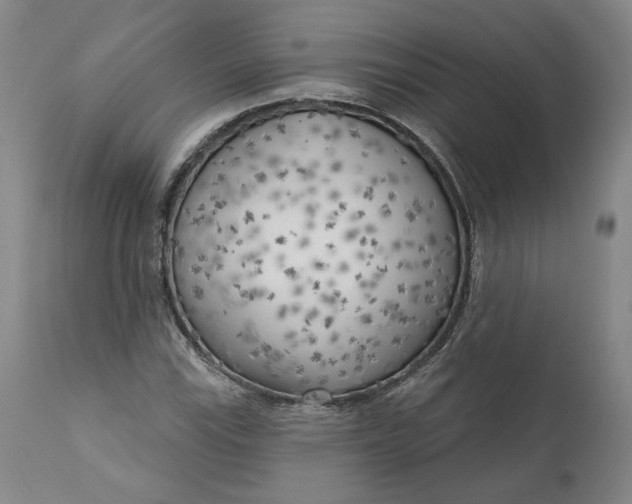 X0000111181115200907151317