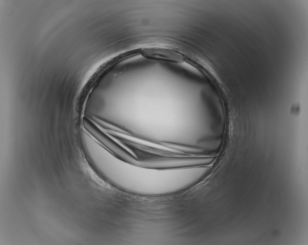 X0000111181116200907151317