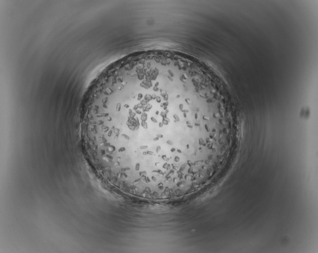 X0000111181117200907151317