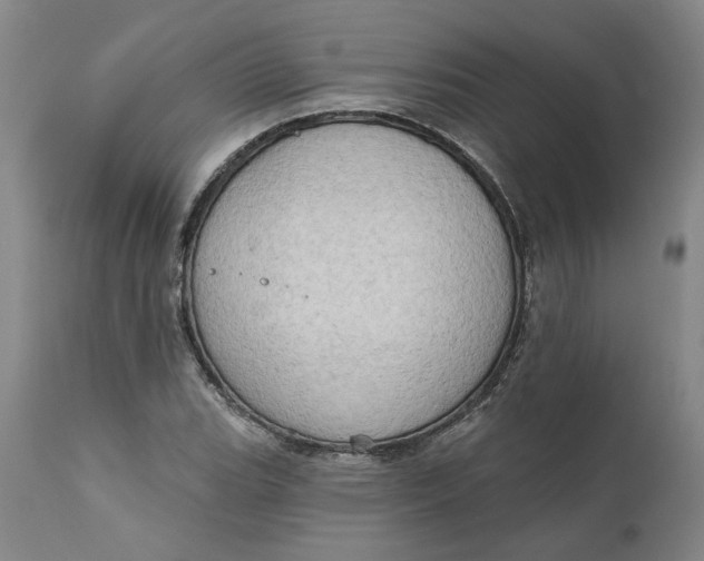 X0000111181119200907151317