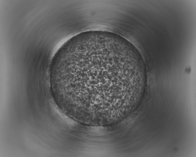 X0000111181120200907151317