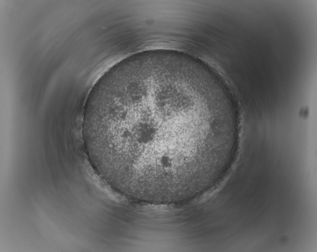 X0000111181121200907151317