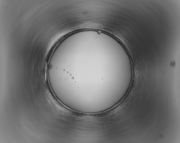 X0000111181123200907151317