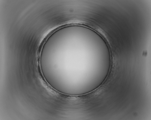 X0000111181124200907151317