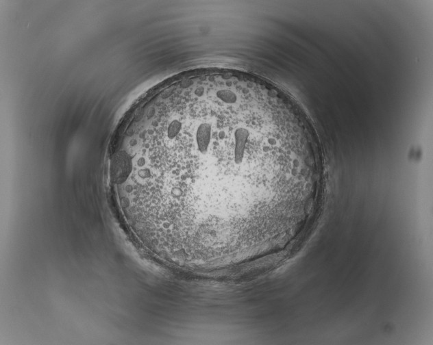 X0000111181125200907151317