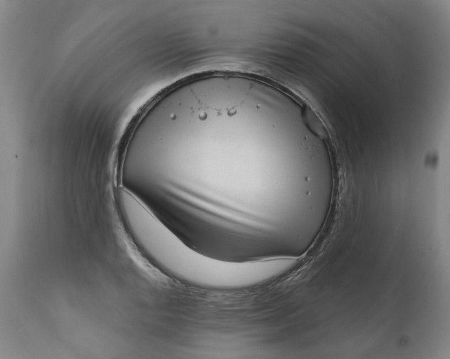 X0000111181128200907151317